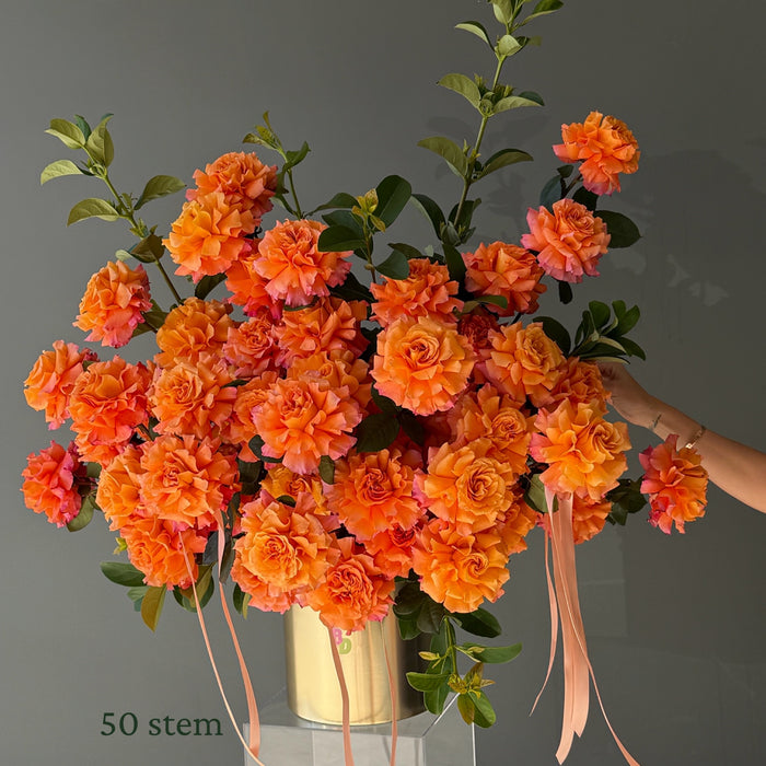 Luxury Roses in Pot