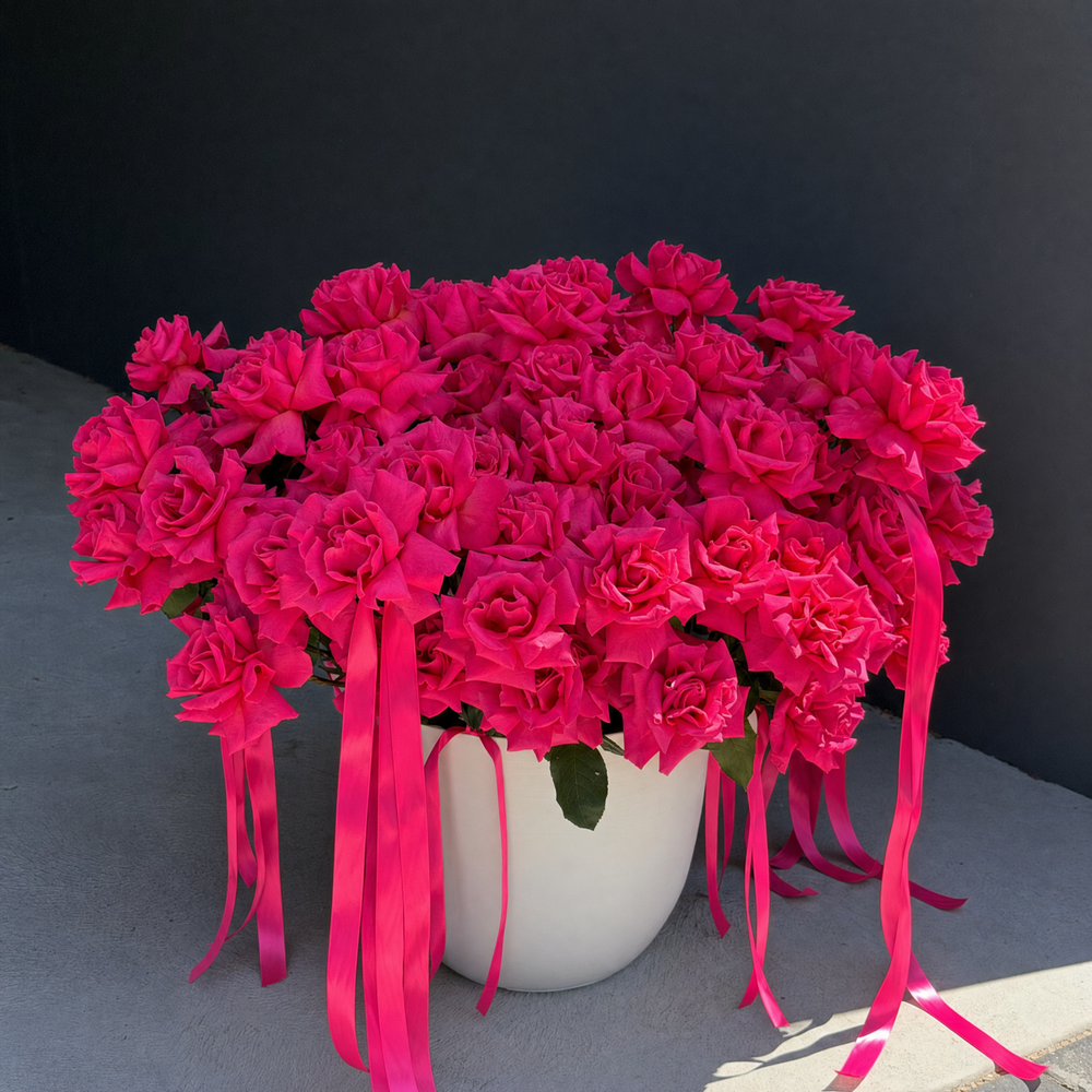 100 hot pink Colombian roses hand-reflexed with foliage in a luxury rose pot by Bloom Drop Sydney