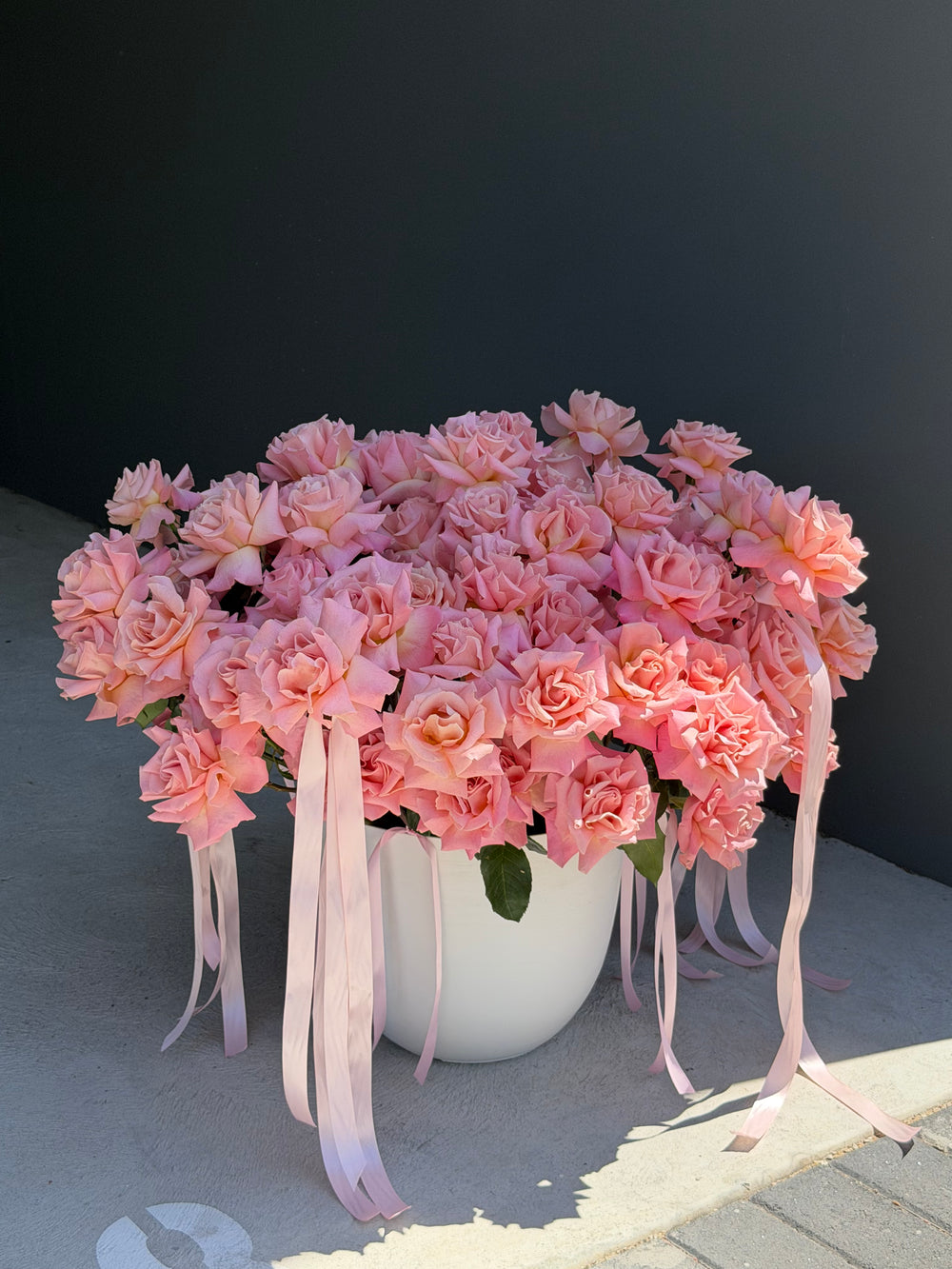Luxury Roses in Pot