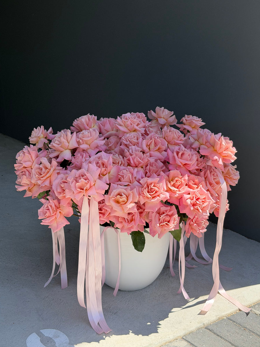 Luxury Roses in Pot