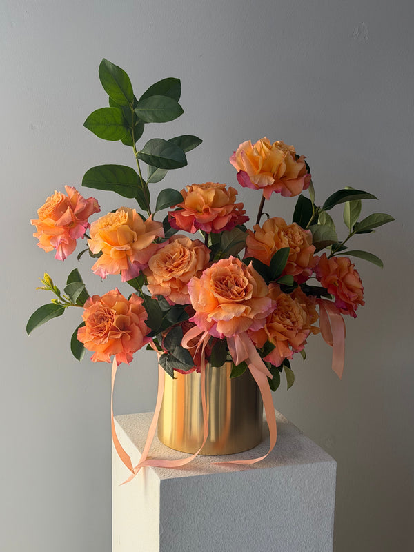 Luxury Roses in Pot