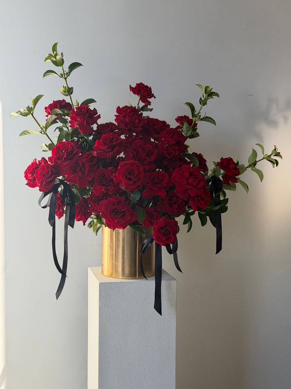 Luxury Roses in Pot