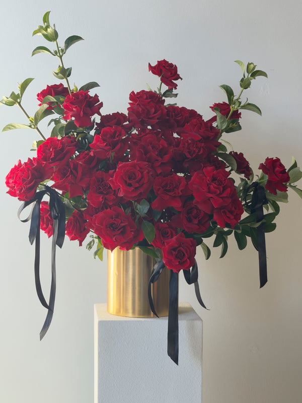 Luxury Roses in Pot