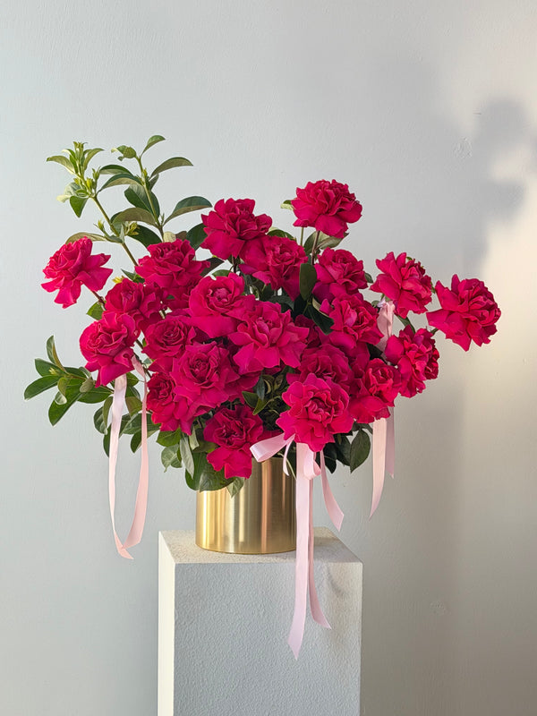 Luxury Roses in Pot