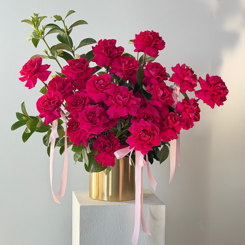 Luxury Roses in Pot