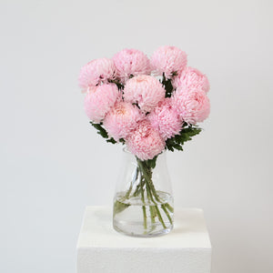 5 stems big mummas