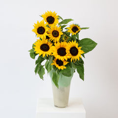Medium - 10 stems