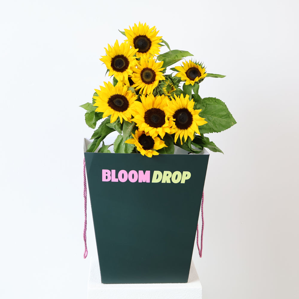 Sunflowers En Masse