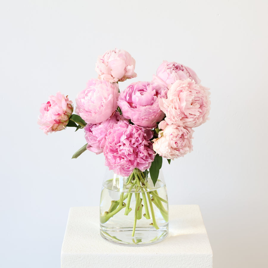 Peonies En Masse