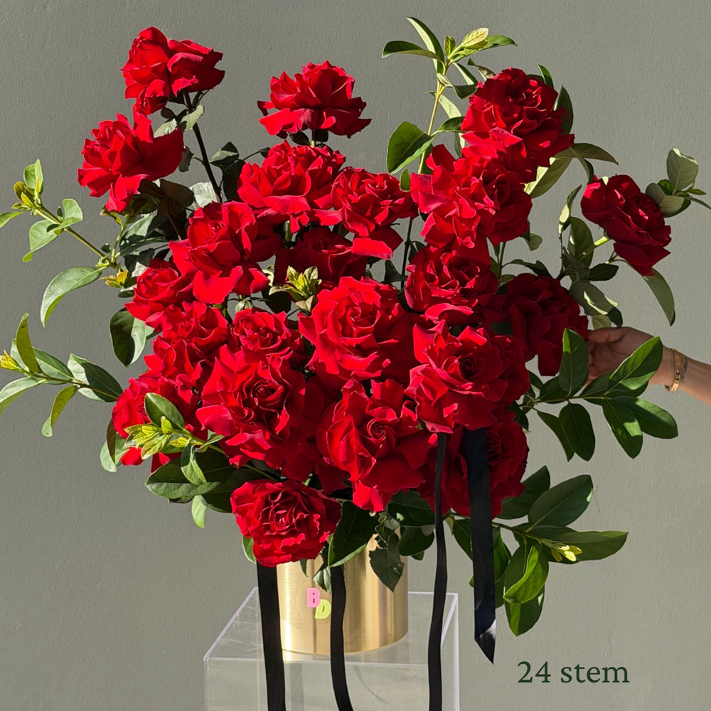 Luxury Roses in Pot