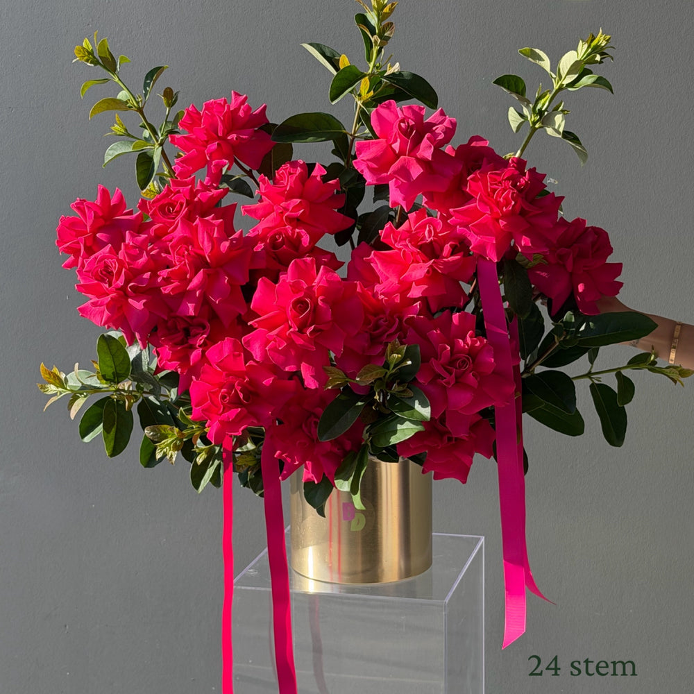 Luxury Roses in Pot