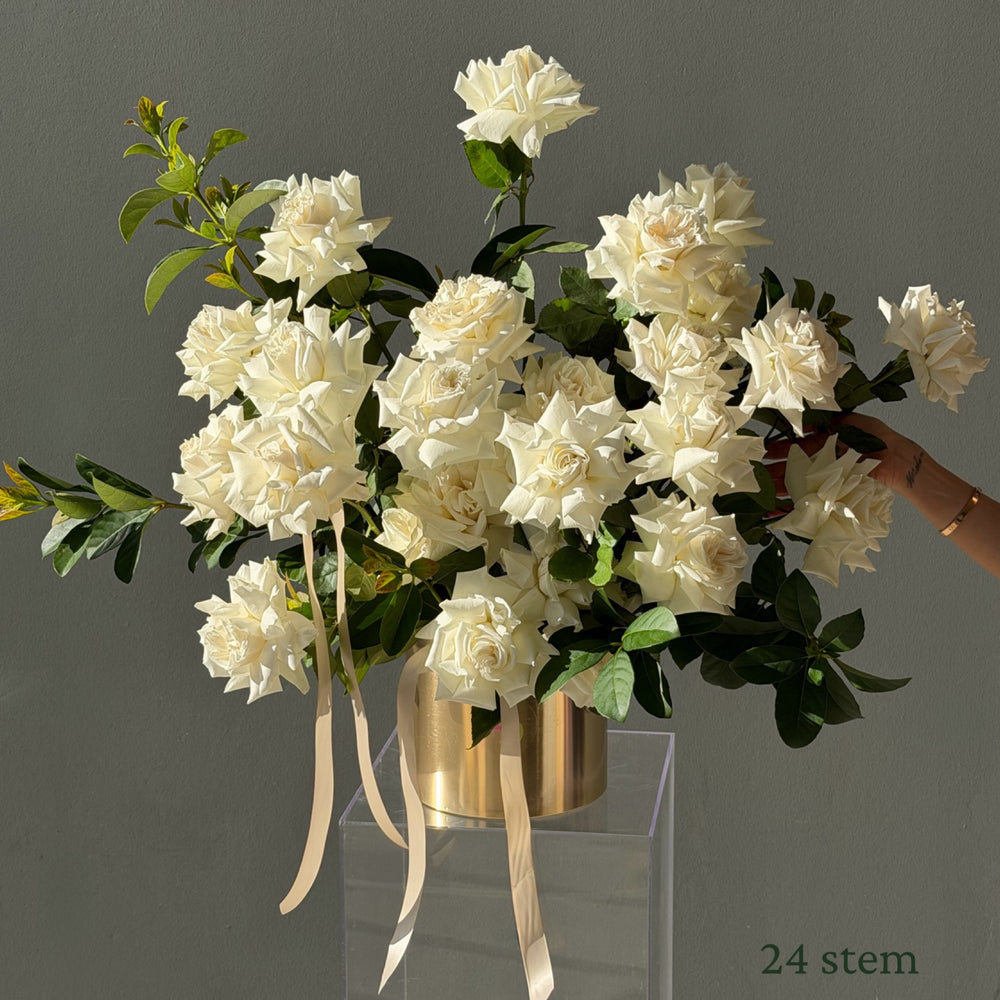 Luxury Roses in Pot