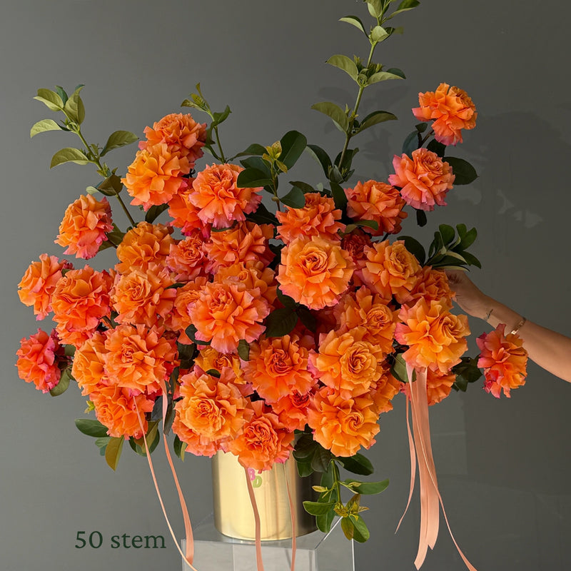 Luxury Roses in Pot