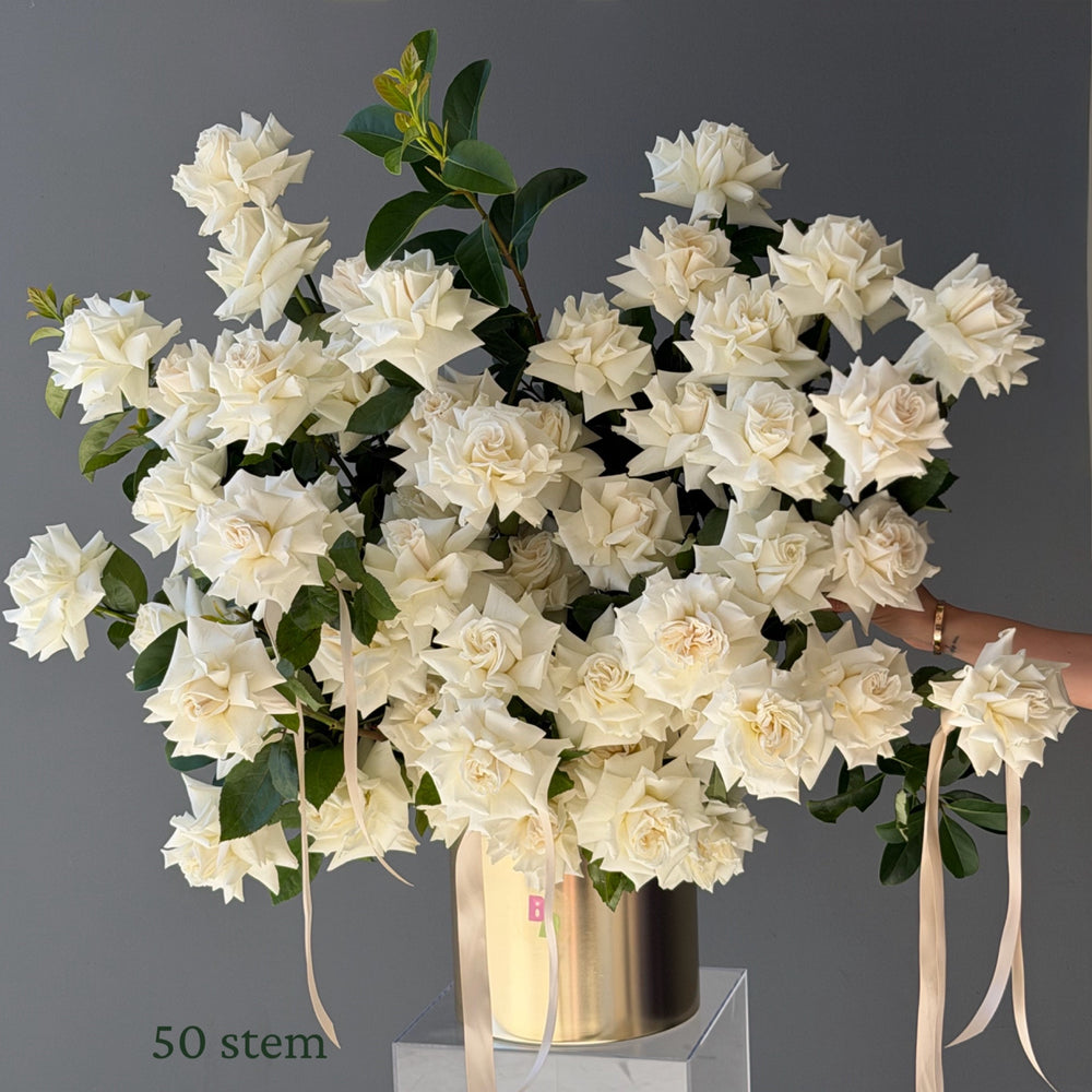 Luxury Roses in Pot