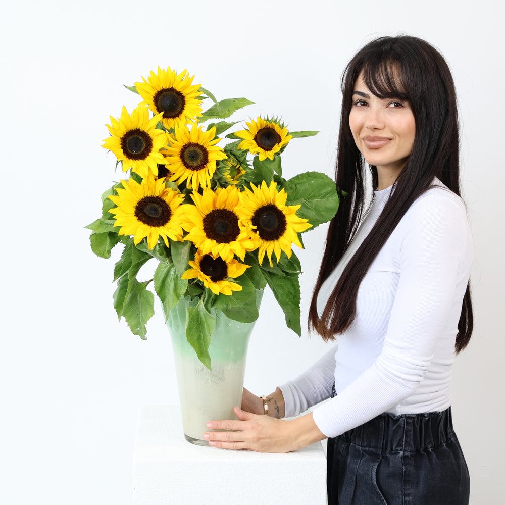 Sunflowers En Masse