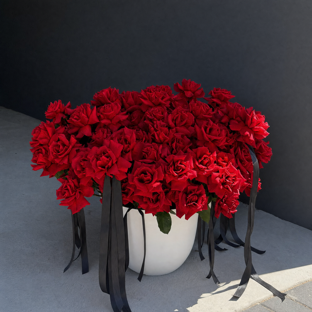 Luxury Roses in Pot