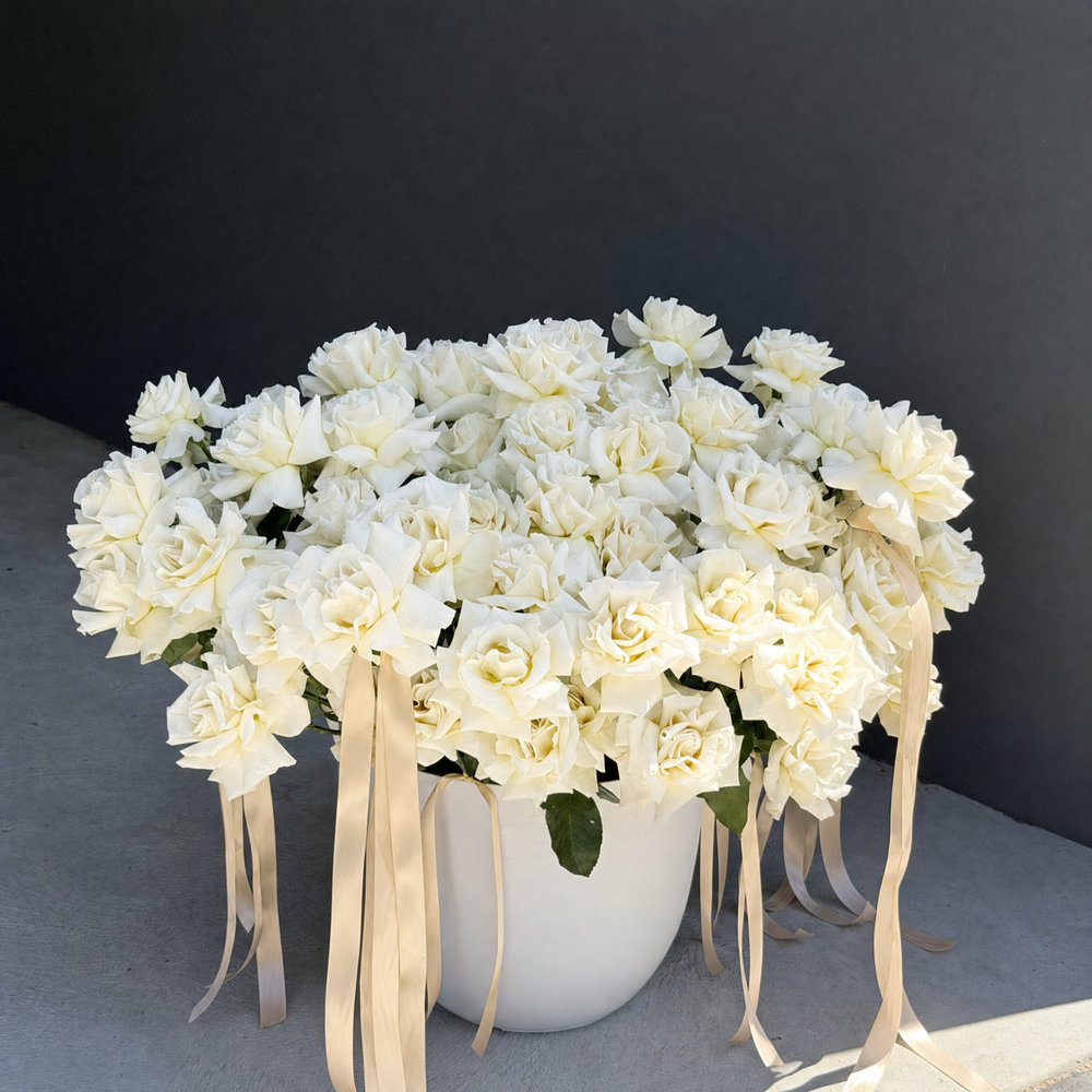 Luxury Roses in Pot