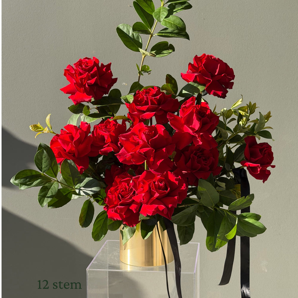 Luxury Roses in Pot