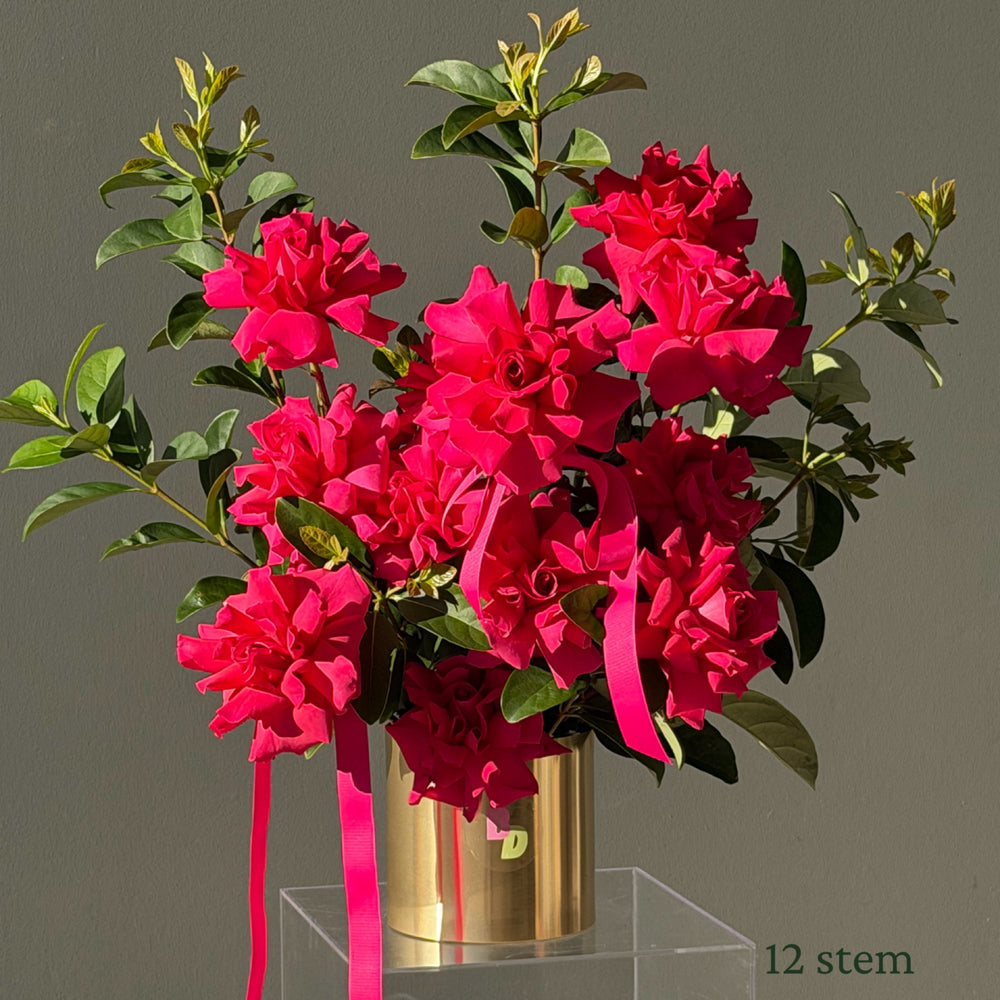 Luxury Roses in Pot