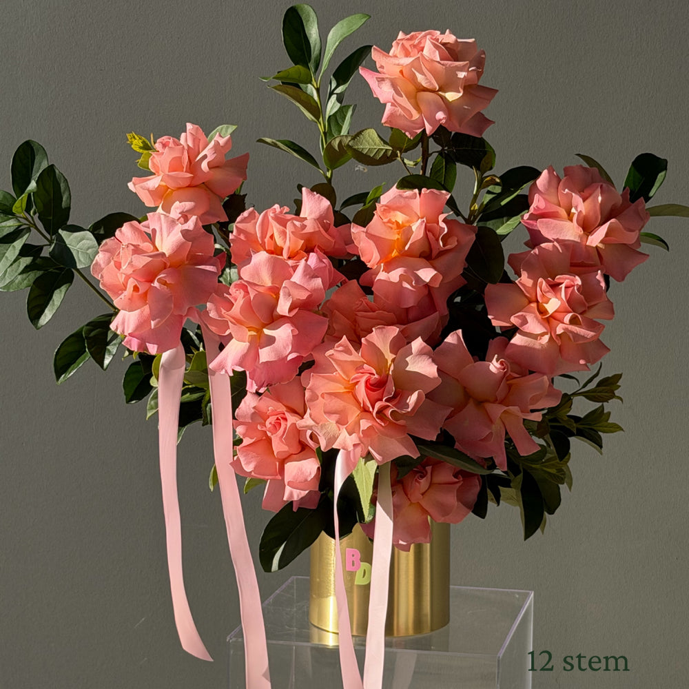 Luxury Roses in Pot
