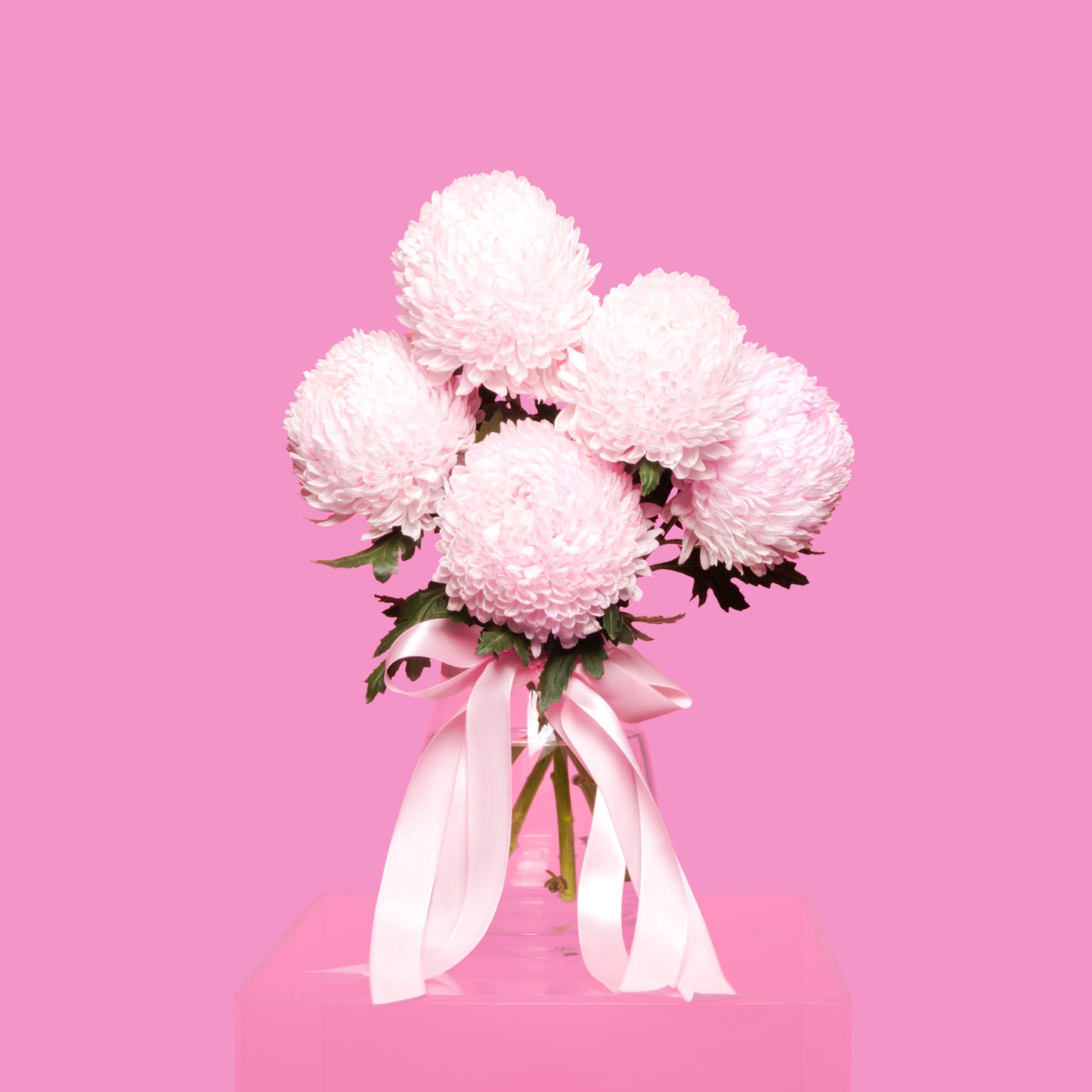 Bouquet of pink flowers with a white ribbon on a pink background